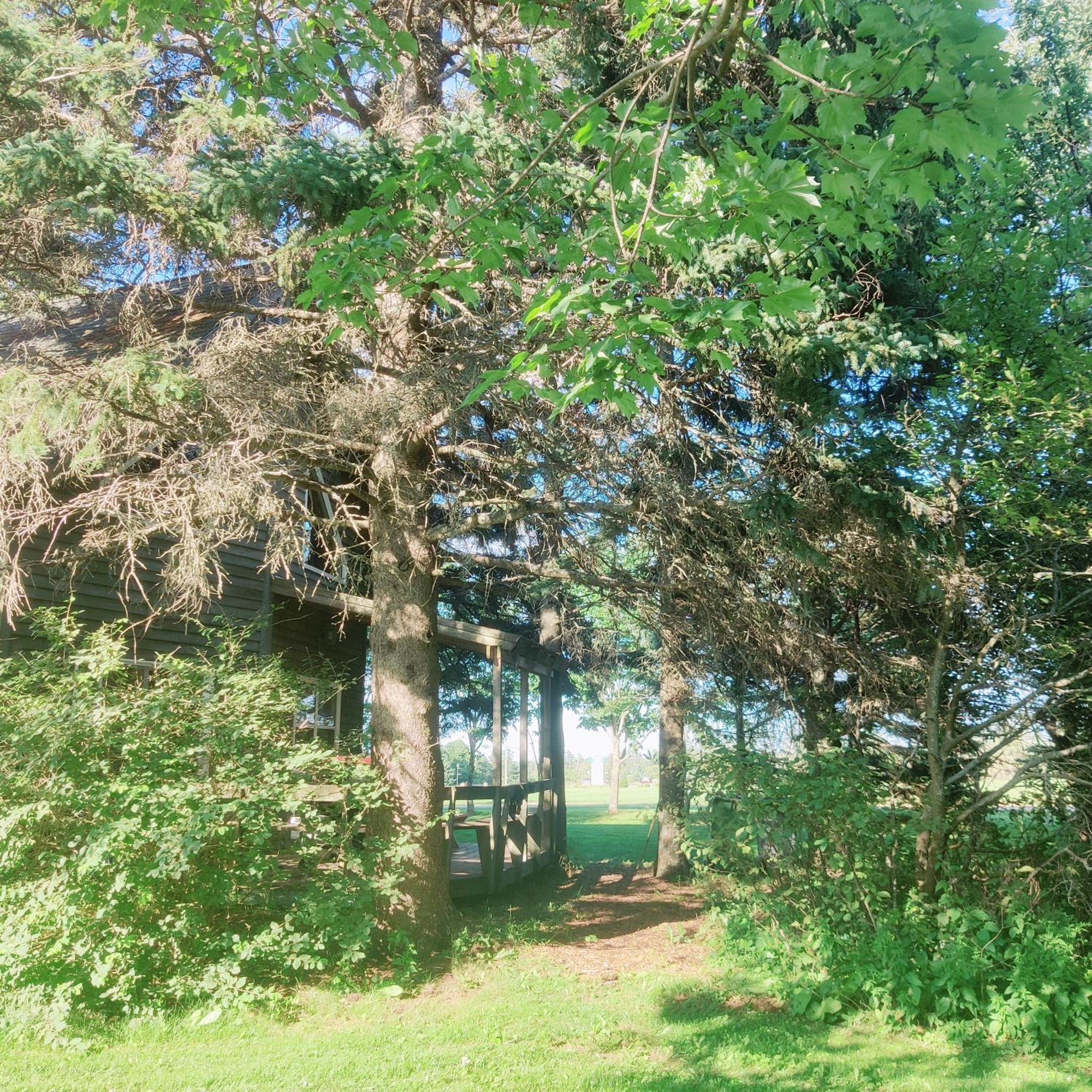 Chalet Avonlea Forest Hill