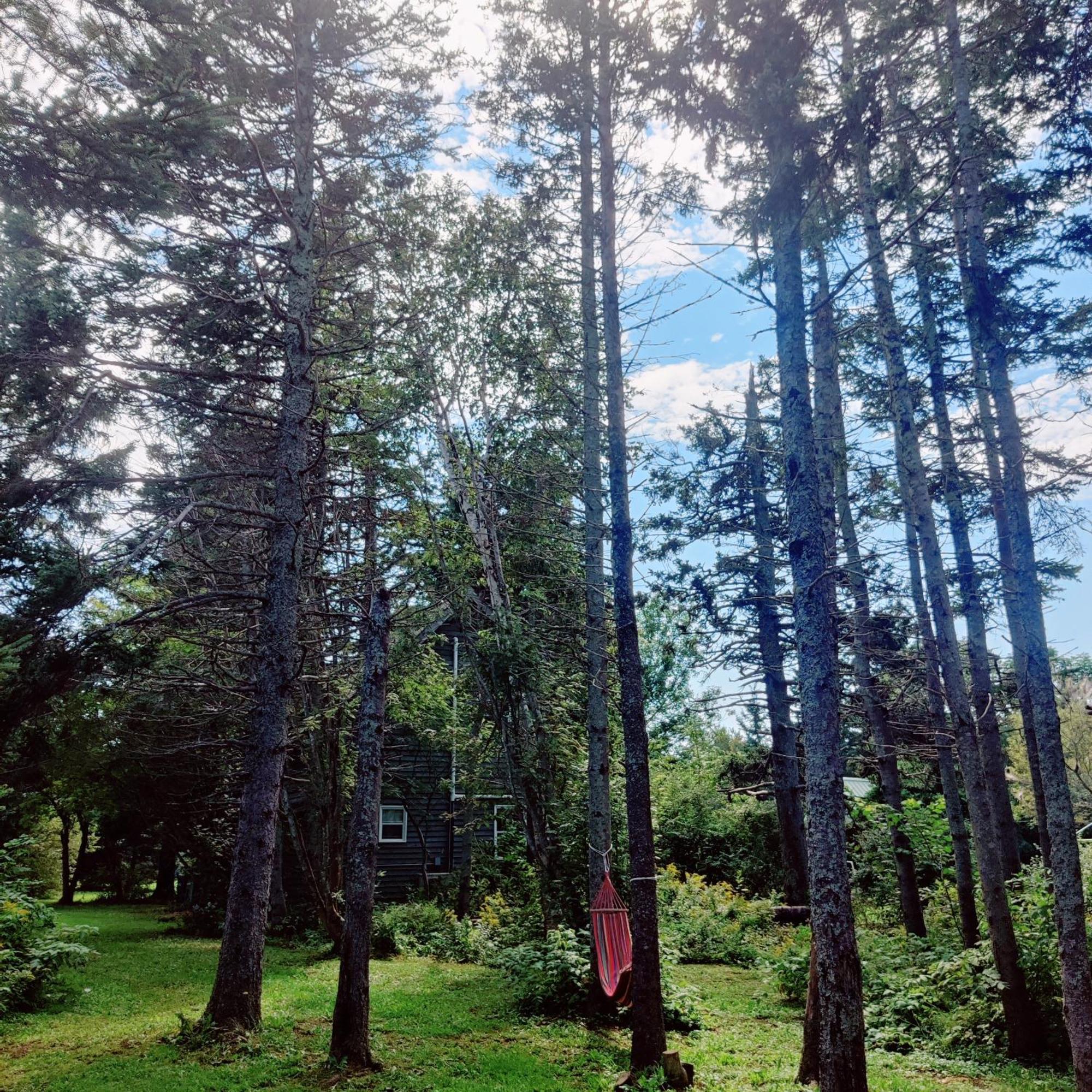 Chalet Avonlea Forest Hill *
