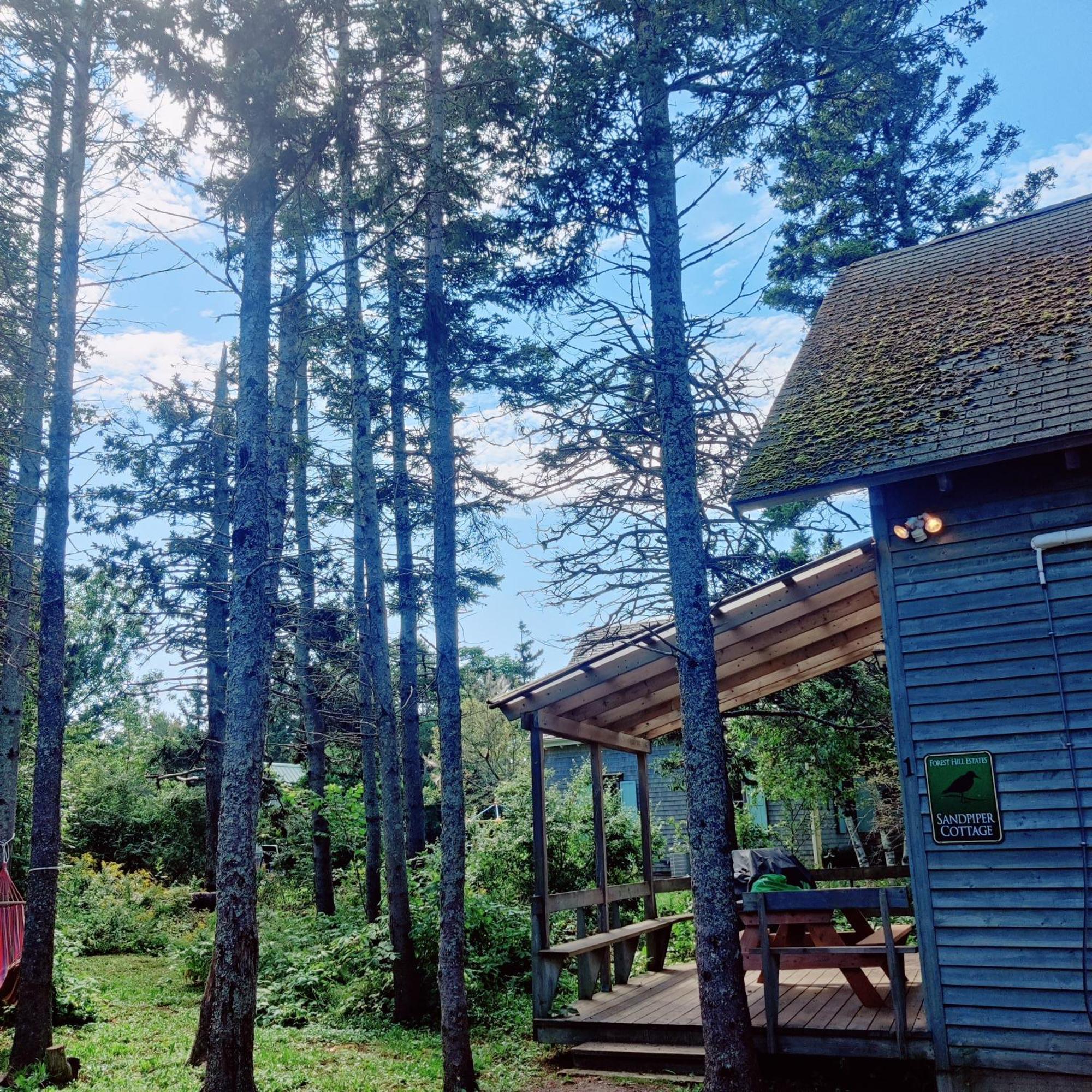 Chalet Avonlea Forest Hill New Glasgow